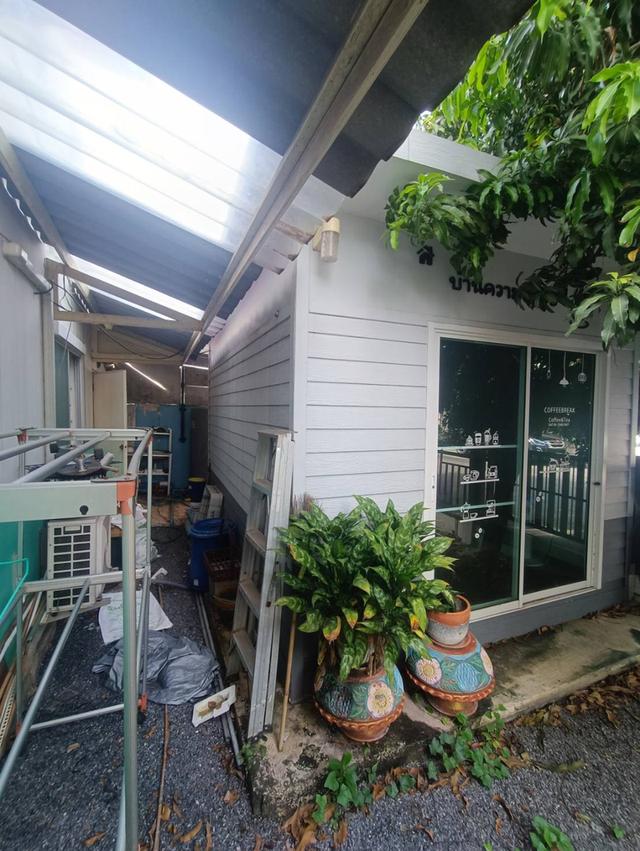 บ้านน็อคดาวน์ 9