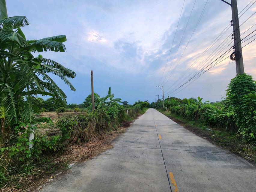 ขายที่ดิน รังสิต นครนายก คลอง7 แปลงสวย ขนาด1 ไร่เต็ม หนองเสือ- ซ.บึงบอน 10 ทำเลดีในราคาจับต้องได้ ✨ เพียง 1.5ล้านบาท 8