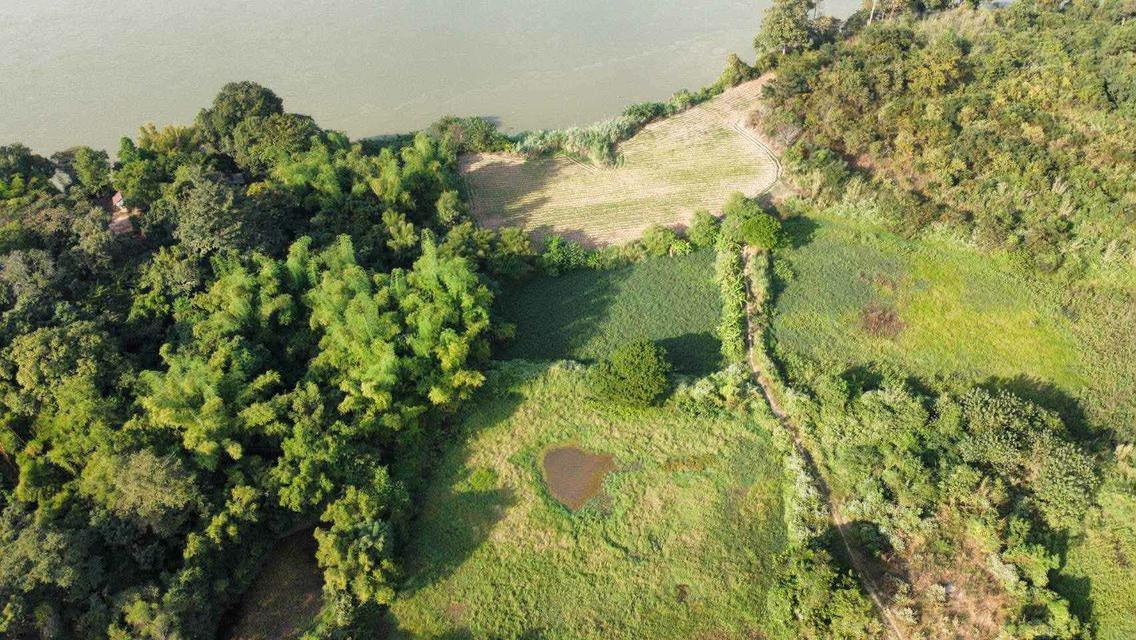 ที่ดินเปล่า ติดแม่น้ำโขง  ทำเลดี รูปแปลงสี่เหลี่ยม โซนสีเขียว ติดถนน ห่างชุมชน เหมาะสำหรับทำธุรกิจ 3