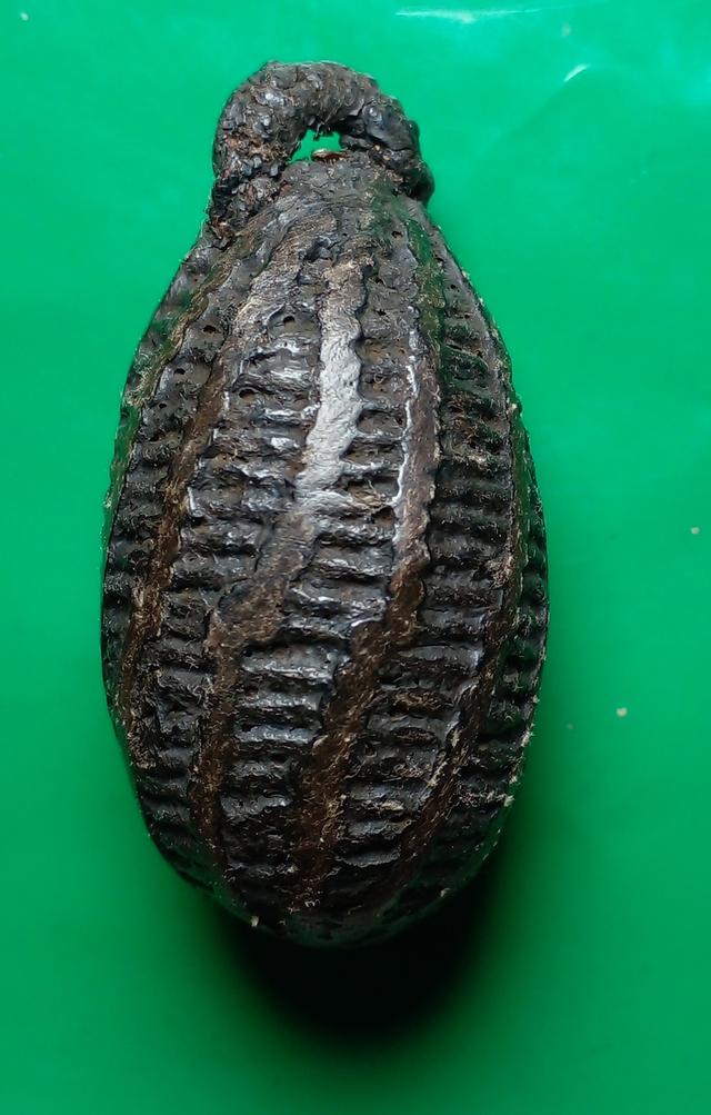 s หมากทุย หลวงปู่เอี่ยม วัดสะพานสูง