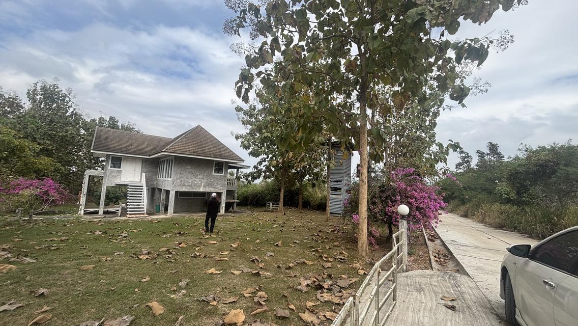 ที่ดินพร้อมบ้าน 2 ไร่ 2.7 ล้าน ต.วังหมี บ้านโคกสันติสุข 10