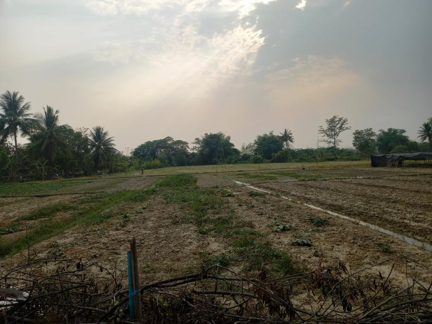 ที่ดินในตำบลบ้านแป้น อ.เมือง ลำพูน 3