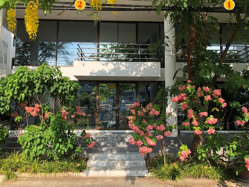 [ราคาพิเศษ] ขายตึก โฮมออฟฟิศ 4 ชั้น ติดMRTศรีนุช สายสีเหลือง ถนนสุขุมวิท 77 อ่อนนุช 62 แยกศรีนครินทร์–อ่อนนุช 6