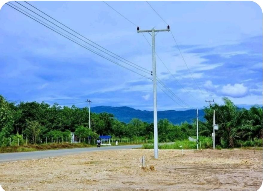 ที่ดิน 1ไร่ ราคาดีมาก กลัดหลวง ท่ายาง เพชรบุรี 6