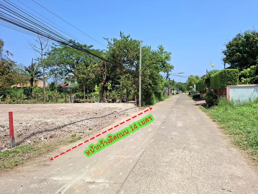 ขายที่ดิน 180 ตร.วา ทำเลดีใกล้สนามบินขอนแก่น,มหาวิทยาลัยขอนแก่น,โลตัสโกเฟรช,ตลาด ร.8แคมปิ้ง 9