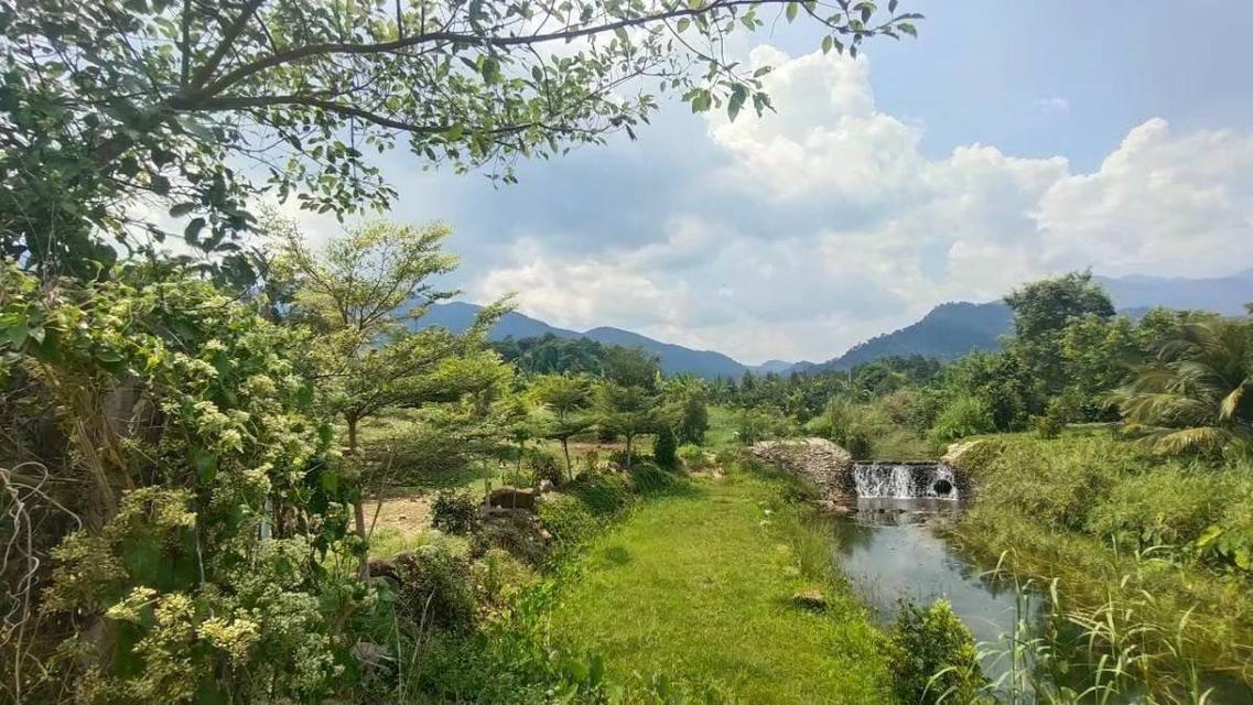 ที่ดินสวนทุเรียน ติดน้ำตกทุ่งเพล  อ.มะขาม จ.จันทบุรี  10 ไร่  ขายราคา 16​ ล้านบาท  สนใจติดต่อ 085-1210072 7