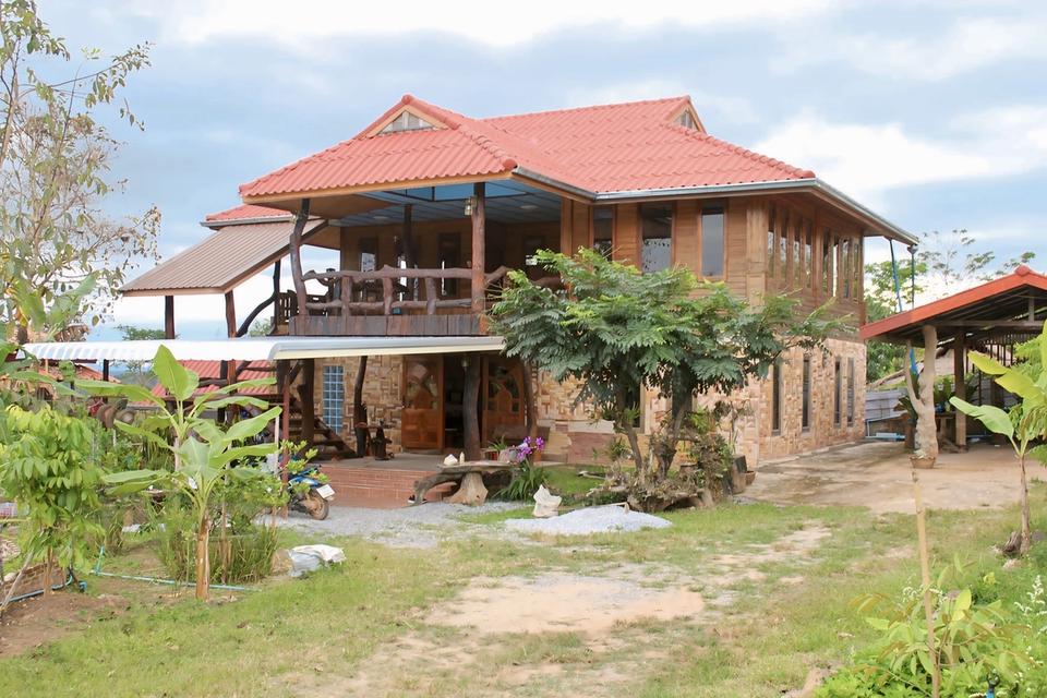 🔥 หลุดจอง! ที่ดิน 6 ไร่ + บ้าน + สวนทุเรียนให้ผลแล้ว (จ.เพชรบูรณ์) 2