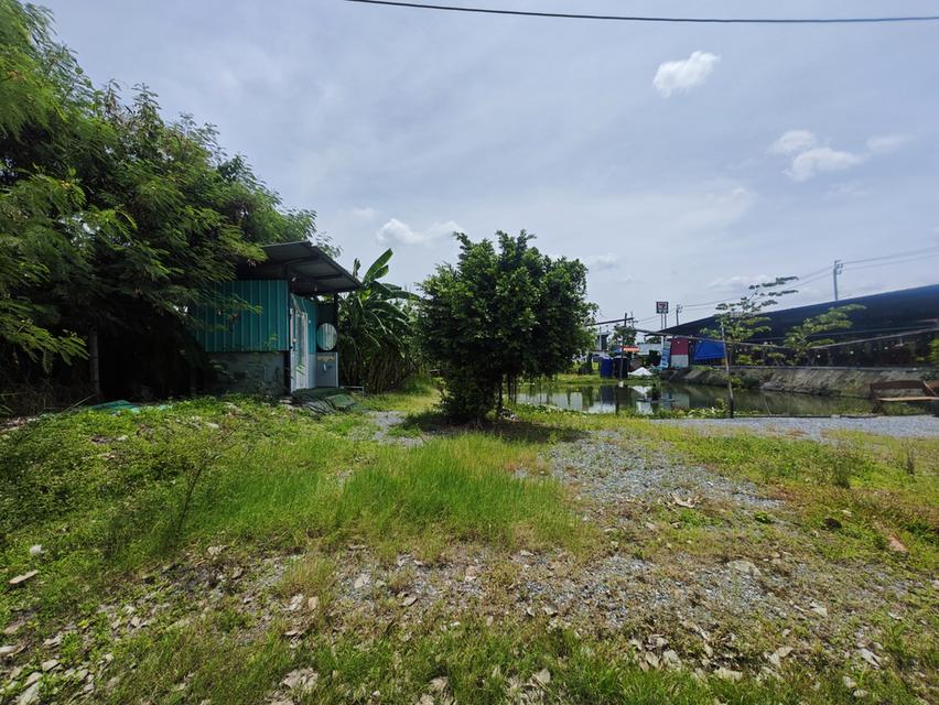 ที่ดิน บางใหญ่ 5