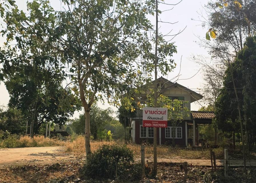 บ้านพร้อมที่ดินสวยทางเข้าเขื่อนน้ำอูน 1