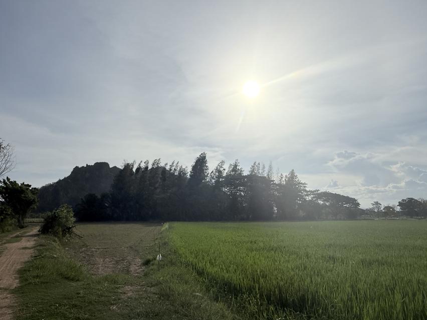 ที่ดินวิวเขาประจิว ใกล้เมือง ท่ายาง เพชรบุรี 2