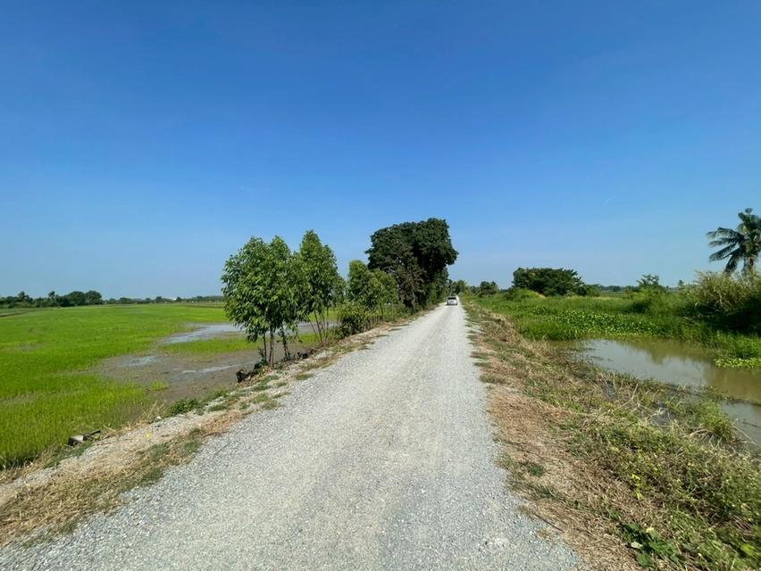 ที่ดิน จำนวน 9 ไร่ จ.สุพรรณบุรี 3