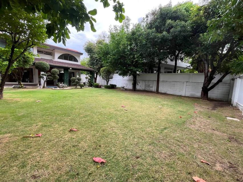 ขายบ้านเดี่ยว 2 ชั้น หมู่บ้านปัญญา พัฒนาการ 30 บ้านสวยพื้นที่เยอะ (N.2190) 1