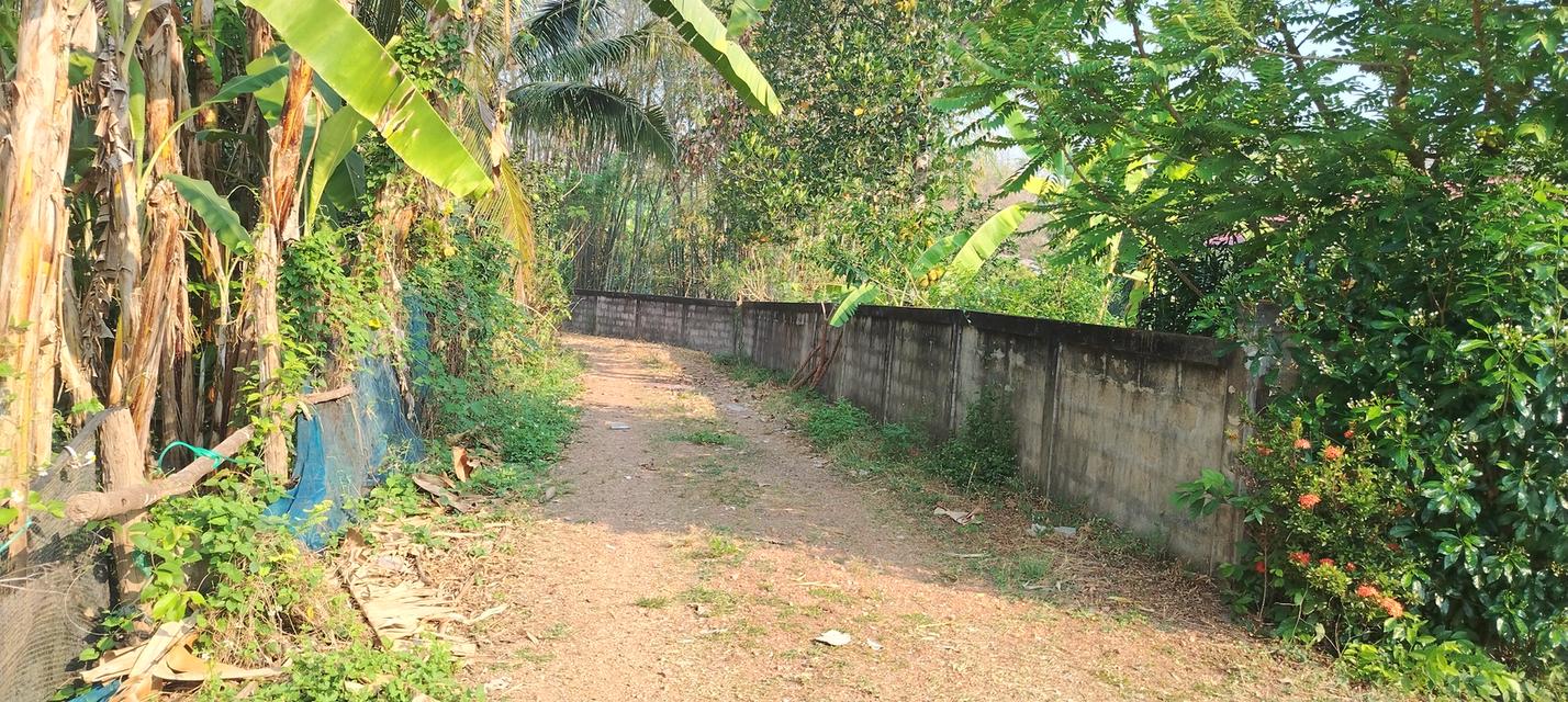 ที่โฉนดวิวเขา ห่าง อบต 1กิโล ที่หน้ากว้างติดถนน80เมตรวิวสวยมากใกล้ชุมชน 16