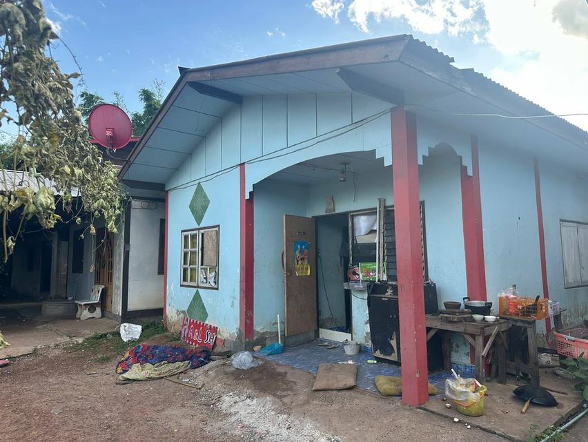 ขายบ้านพร้อมที่ดิน บ้าน4หลัง 4