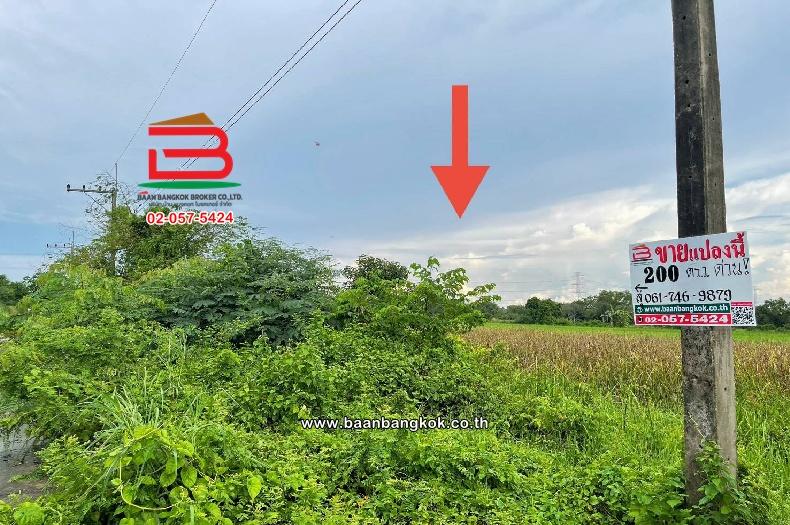 ที่ดินเปล่า ซอยเฉลิมกิจ (เลียบคลอง12) เนื้อที่ 200 ตร.ว ใกล้มัสยิดอิกอมาตุ้ล ตำบลหนองสามวัง อำเภอหนองเสือ ปทุมธานี