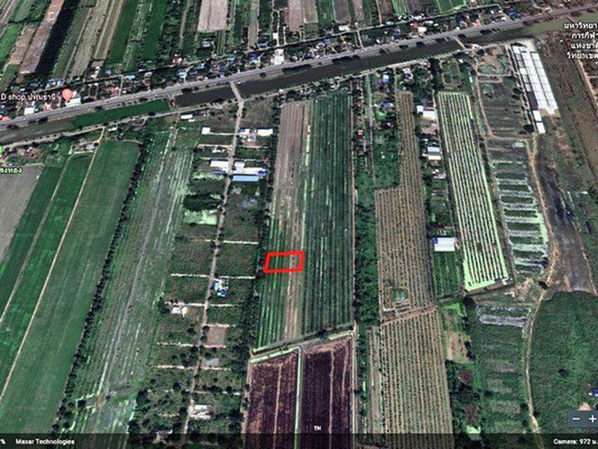 ขาย ที่ดิน คลองสิบสอง ธัญบุรี 2 ไร่ ห่างรังสิต-นครนายกแค่ 700 เมตร เหมาะปลูกบ้าน หรือทำสวนเกษตร 6