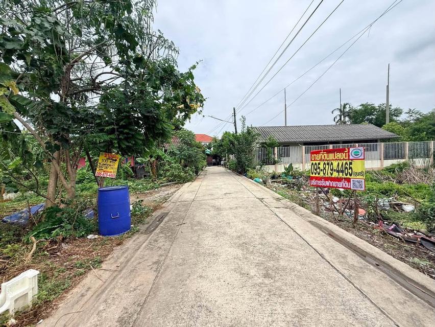 ขายด่วนที่ดินตลาดใหญ่ลำลูกกา 100 ตรว ติดถนนคอนกรีต ซ.เทศบาล 17 ลำลูกกา ปทุมธานี 4