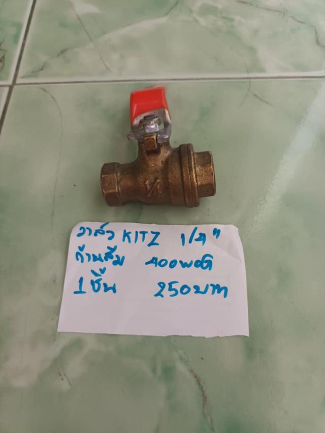 วาล์วkitzทองเหลืองและสแตนเลส 1/4"