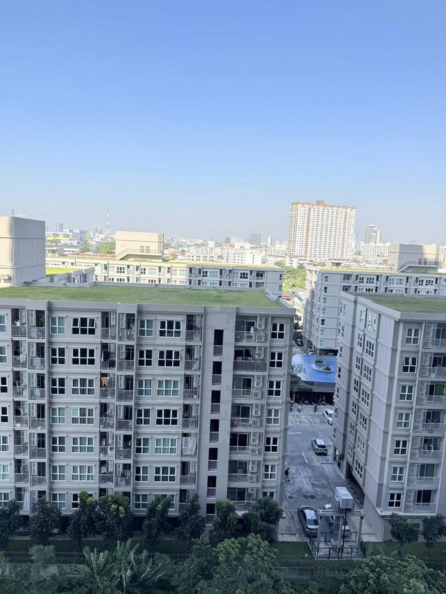 ให้เช่า 1ห้องนอน MRTบางอ้อ The Tree Rio Bang Aor (เดอะทรี ริโอ้ บางอ้อ) 12