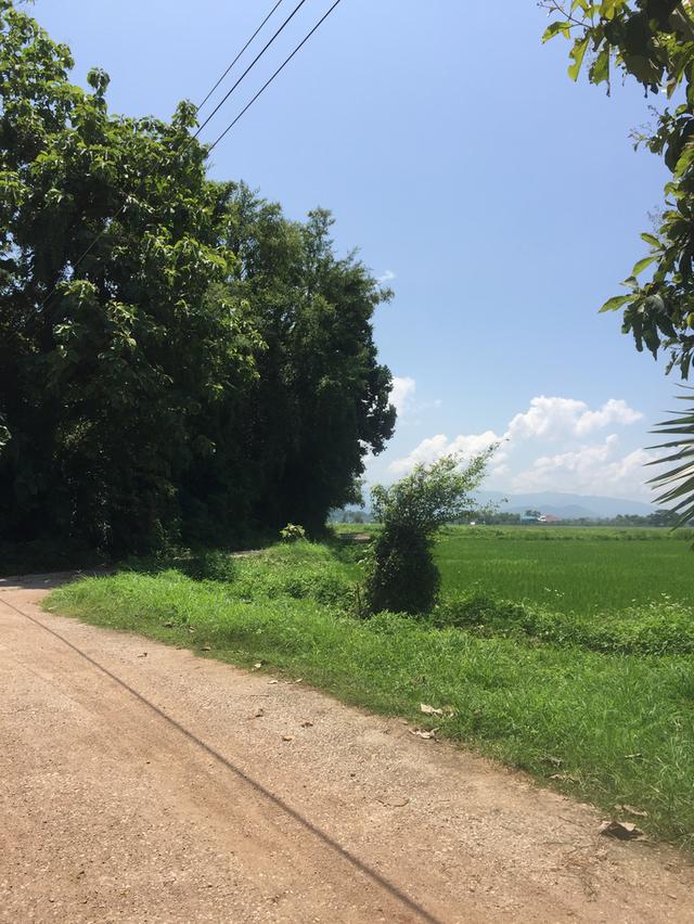 ขายที่ดิน1ไร่3งาน 58 ตรว บ้านหลุก ตำบลนาครัว อำเภอแม่ทะ จังหวัดลำปาง 2