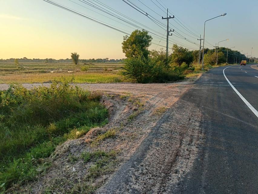 ที่ดินเปล่าติดถนนนาเชือก-พยัคฆภูมิพิสัย 219 จังหวัดมหาสารคาม อำเภอพยัคฆภูมิพิสัย ตำบลลานสะแก 2