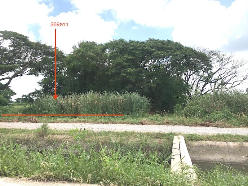 ขายที่ดิน 269ตรว.ติดถนนเลียบคลองชลประทาน ตำบลหมื่นไวย เมืองโคราช ใกล้ร้านกะลาก้นครัว ห่างจากถนนบายพาส 204 ประมาณ 1กม.ที่ดินเหมาะพัฒนาเป็นบ้านสวน 3