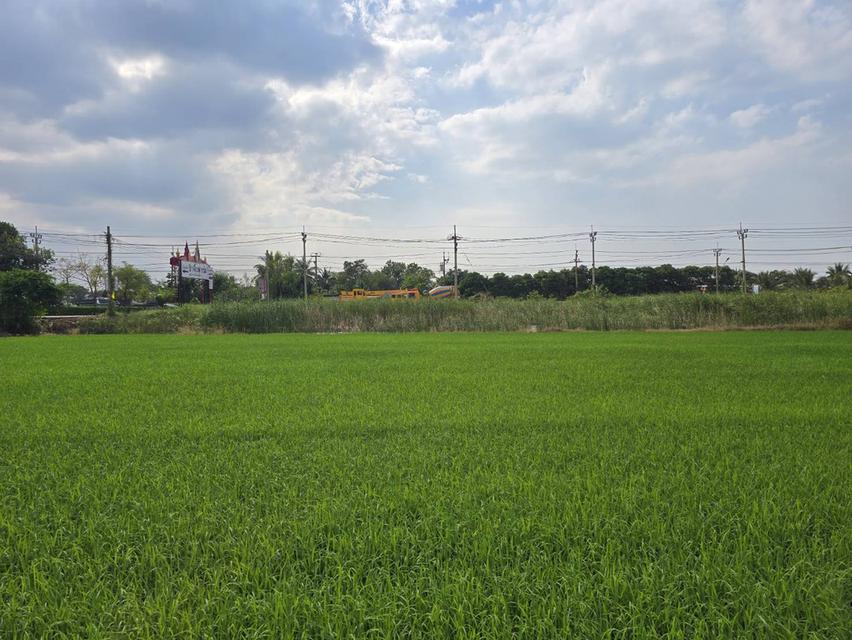 ขายที่ดินทำเลทอง 7 ไร่ ใจกลางบางใหญ่ ราคาพิเศษ 1