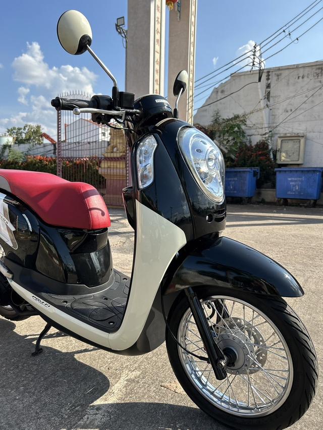 Scoopy I 2015 3