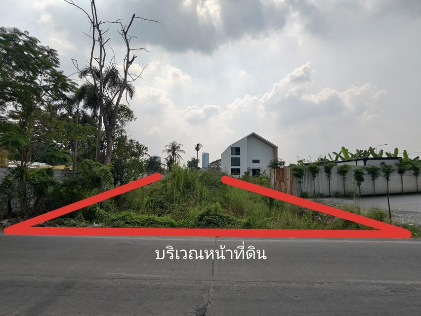 ขายที่ดินเปล่า ไทรม้า นนทบุรี ใกล้แม่น้ำเจ้าพระยา ขายยกแปลง เจ้าของขายเอง 3