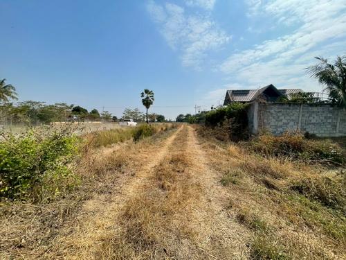 ขายที่ดิน 3 งาน 78.0 ตรว. ต.ขามทะเลสอ อ.ขามทะเลสอ จ.นครราชสีมา 15