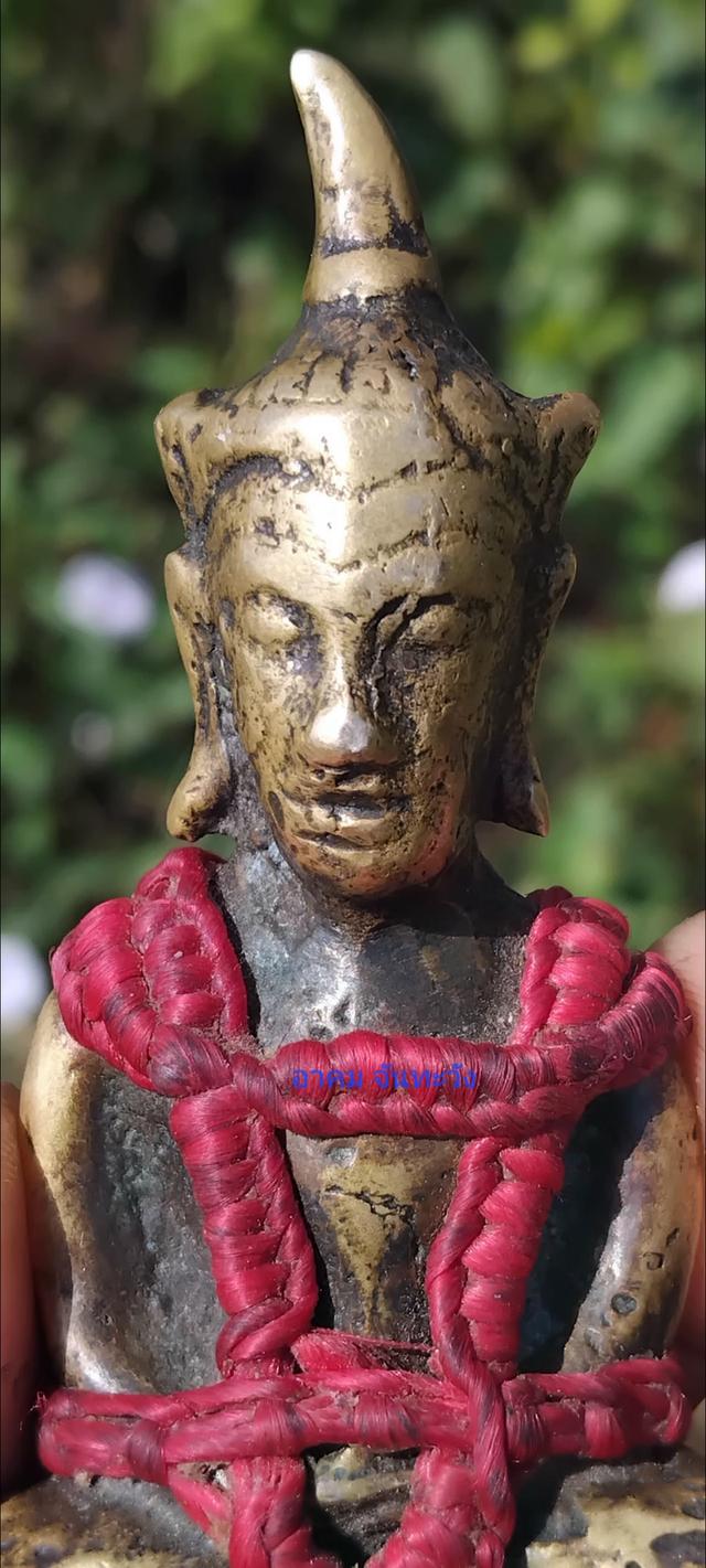 พญางั่งสุวรรณภูมินิ้วกระดก 9