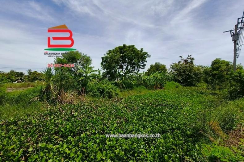 ที่ดินเปล่า กระทุ่มราย-หนองจอก (ซอยสุวินทวงศ์ 98) เนื้อที่ 200 ตรว. ใกล้บิ๊กซีหนองจอก แขวงกระทุ่มราย เขตหนองจอก จ.กรุงเทพมหานคร