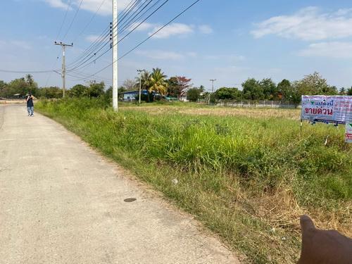 ที่ดิน 1-3-59.0 ไร่ ต.ขามทะเลสอ อ.ขามทะเลสอ จ.นครราชสีมา 3