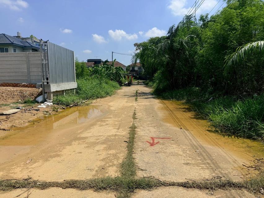 ขายด่วนที่ดิน 704 ตรว ติดถนนพุทธมณฑลสาย 2 ถนนพุทธมณฑลสาย 2 เขตบางแค กทม 4