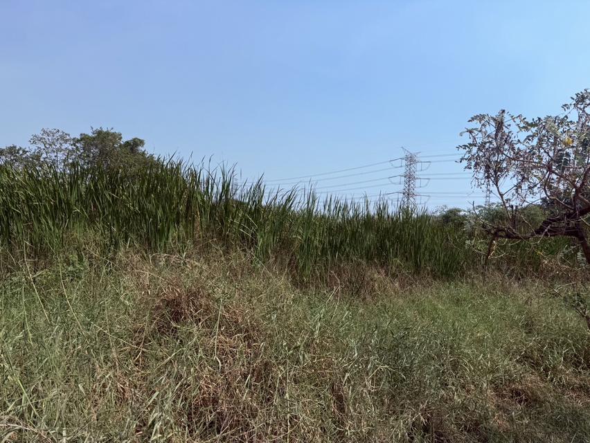ขายที่ดินอำเภอมีนบุรี กรุงเทพมหานคร 3