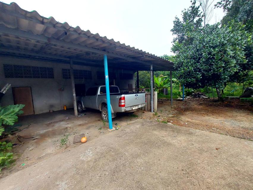 ที่ดิน ต.ห้วยยาง อ.แกลง จ. ระยอง 7 ไร่+ 5.5 ล้าน 1