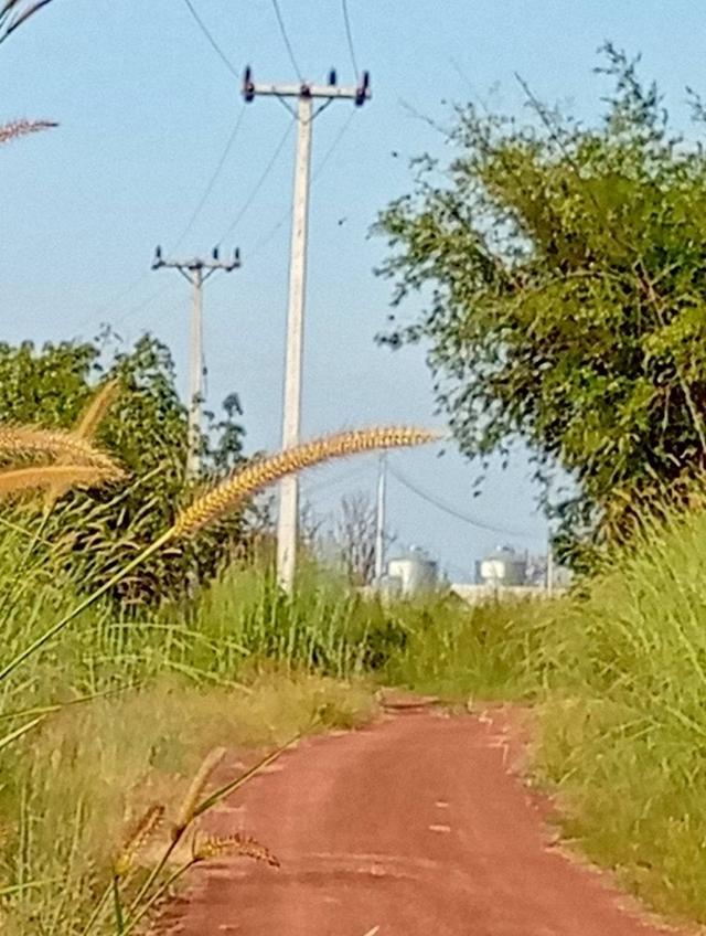 ที่ดินจังหวัด อุดร หนองหาน จำนวน 148 ไร่ ขายยก9แปลง ไร่ละ 110,000 5