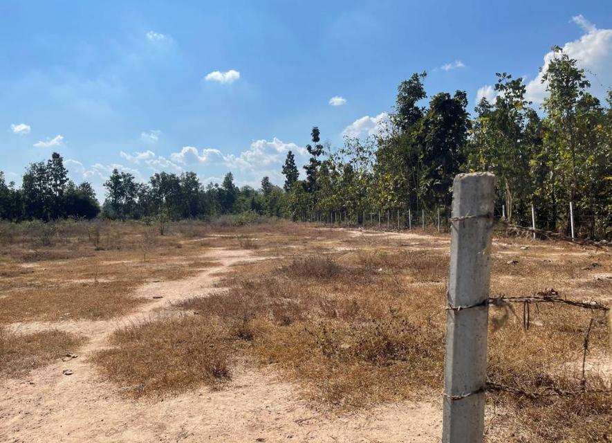 ขายที่ดินทำเลทอง 7-3-44  ไร่ ราคา 2.9 ล้านบาท ใจกลางห้างฉัตร ลำปาง 3