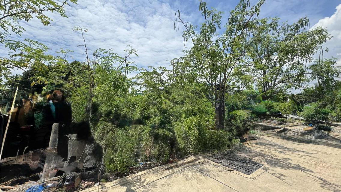 ขายที่ดิน 67.8 ตรว สุขสวัสดิ์ 78 ซอยวัดชังเรือง คู่สร้าง-คู่สม โครงการ3 ซอย 4/3 ราคาถูก ใกล้ตลาดคู่สร้าง 2