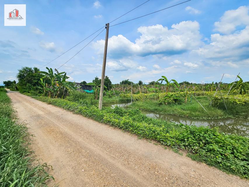 ขาย ที่ดิน ร่องสวน ราคาถูก-ใกล้ราคาประเมิณ ปทุมธานี อ.หนองเสือ ติดสระบุรี 44 ไร่ 4