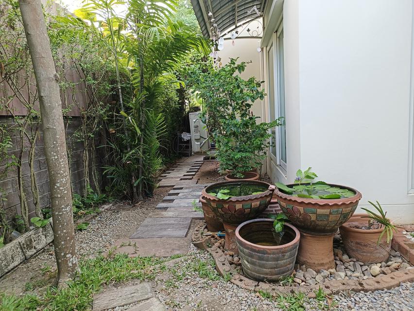 ขายบ้านเดี่ยว 2ชั้น 81ตรว  วรารมย์เจริญเมือง โครงการQ House 4ห้องนอน 4ห้องน้ำ สวนส่วนตัว จอดรถได้2คัน 8