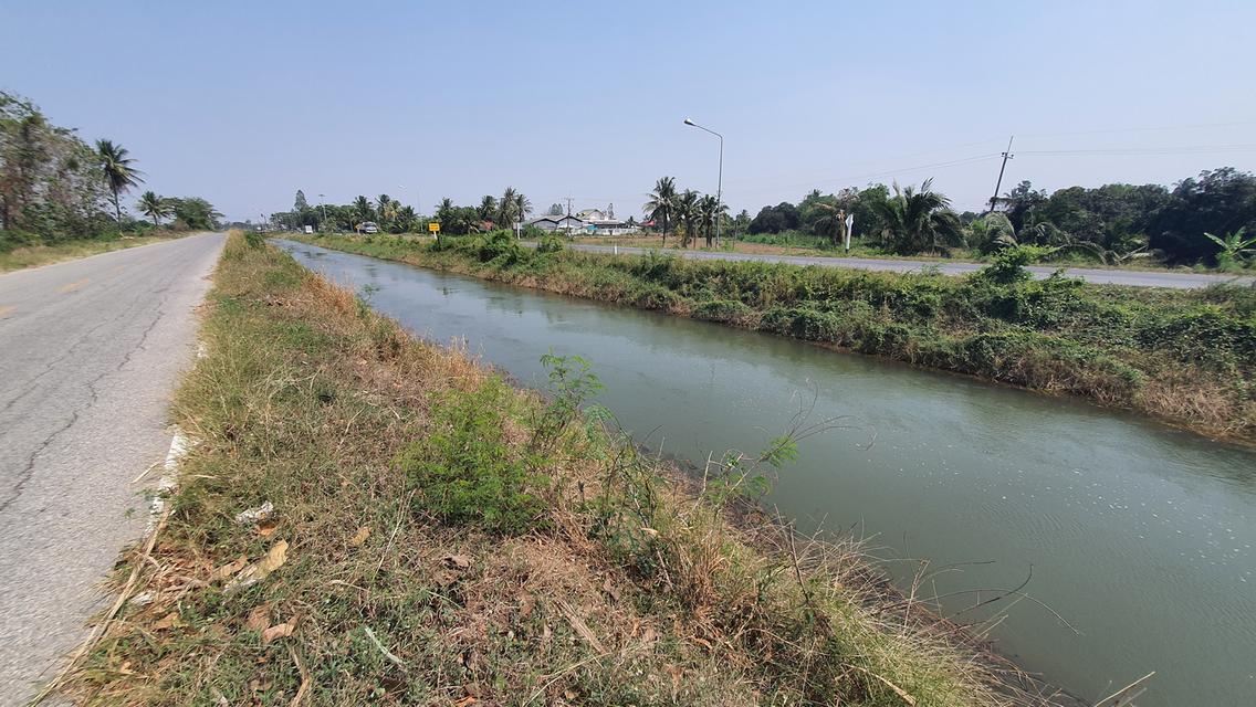 ฮวงจุ้ยดี ทำเลเยี่ยม ที่สวย ราคาถูก ติดทาง 3 ด้าน ติดคลองชลประทานใหญ่ ที่ดินสูง