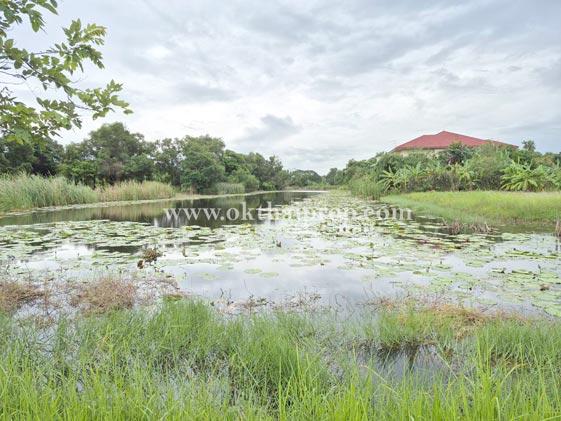 ที่ดิน หมู่บ้าน สวนเอก เลคปาร์ค ลําลูกกา ปทุมธานี 13
