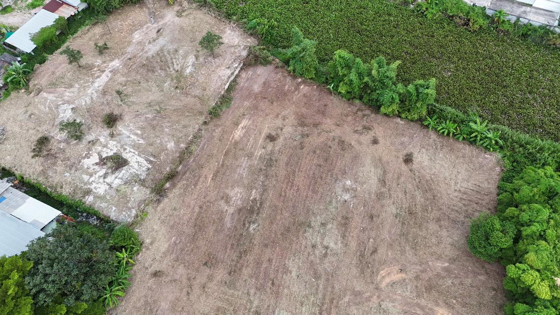 ที่ดิน ระยอง 3 ไร่ 395 ตารางวา 8