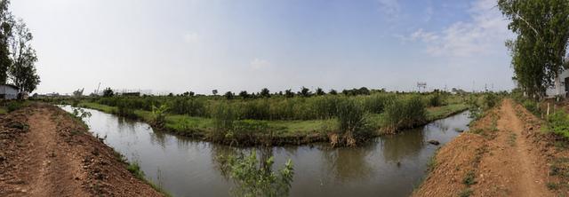 🌳 ขายที่ดินแปลงใหญ่ 64 ไร่ ติดถนนพหลโยธิน อำเภอหนองแค จังหวัดสระบุรี 5