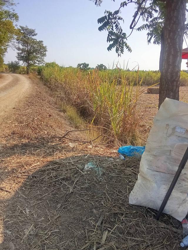 ที่ดินเปล่าที่นา ทำเลดีราคาถูก 3