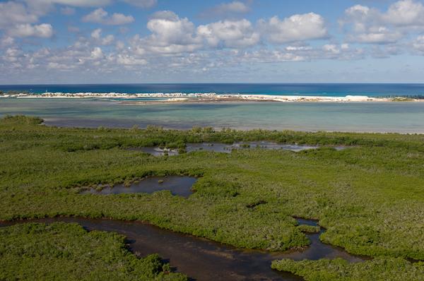 ที่ดินริมทะเลวิวสวยย 1