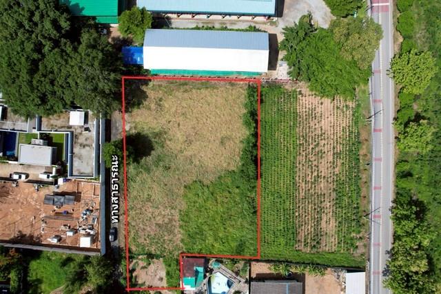 ขายที่ดินใกล้อ่างมาบประชัน (ถ.พรประภานิมิตร) พัทยา บางละมุง ชลบุรี 2