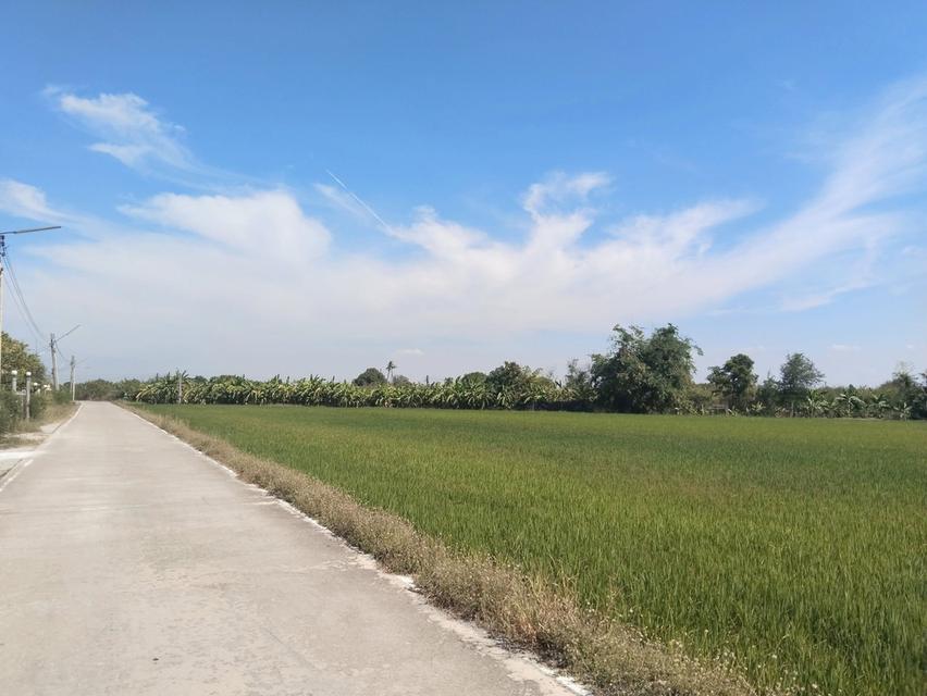 ขายที่ดินท่าไข่ แปดริ้ว 4 ไร่ ซอยวัดนิโคธาราม ใกล้สถานีรถไฟความเร็วสูง เมืองฉะเชิงเทรา 6