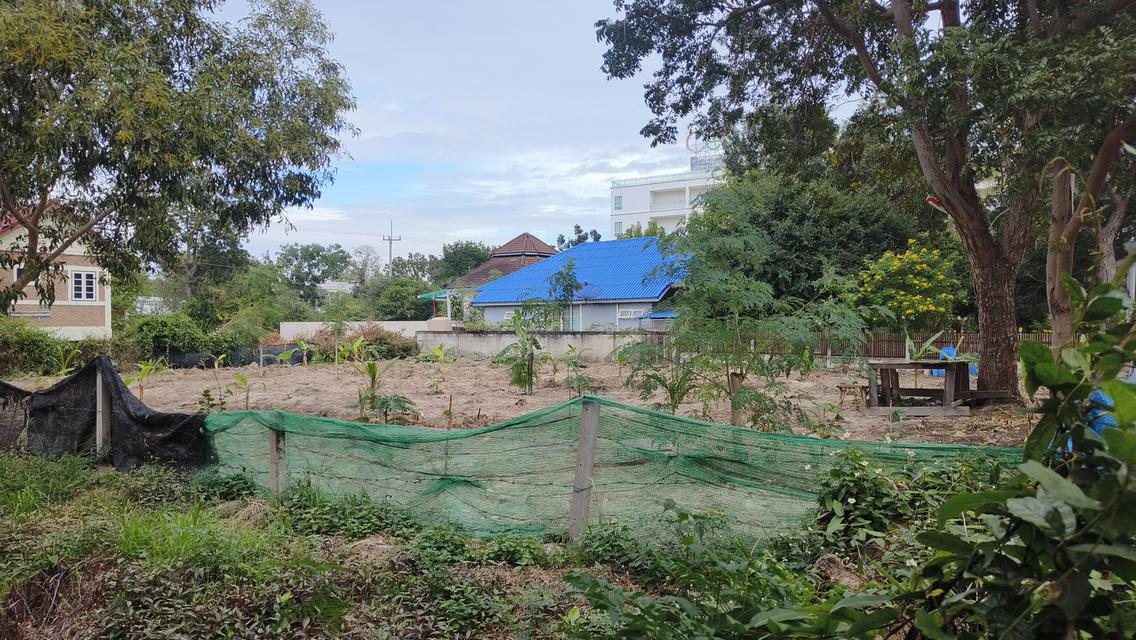 ขายถูก ที่ดินแปลงเล็ก หาดสุขเสมอ ชะอำ 8